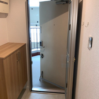 玄関網戸