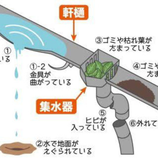 雨樋詰まり　鳥の巣　家の雨漏れ　雨樋掃除致します − 愛知県