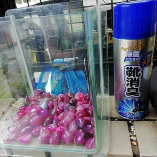 お洒落な、水槽