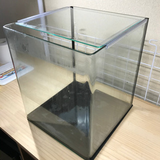 ガラス水槽