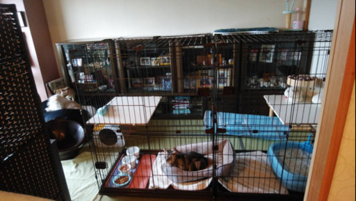 猫用ゲージ／ペットゲージ