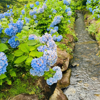 写真好きな人集まれ💕