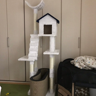 キャットタワーの画像