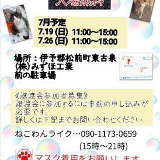 いぬねこ譲渡会開催！譲渡会参加者も募集