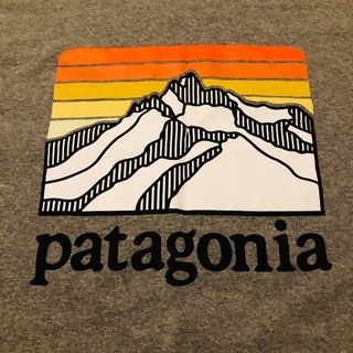 パタゴニア Tシャツ Mサイズの画像