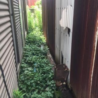 アパート周りの草刈りをお願いします。の画像