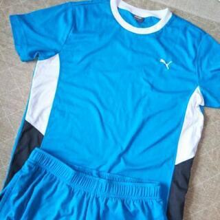 美品！プーマ　Tシャツ、ハーフパンツ　セット　ゲームパンツ　プラシャツ　160の画像