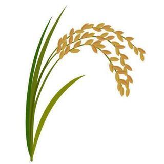 若者の悩みを解決する新しい暮らし