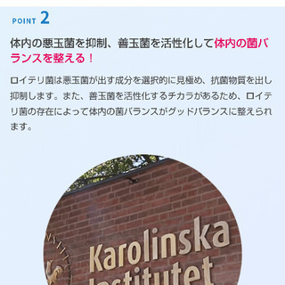 【3240円→300円】 歯医者さんお勧めサプリ (No.303)  ※多数出品中の画像