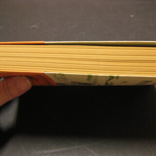 大江戸無頼　笹沢佐保の画像