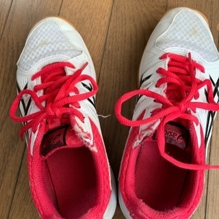バレーボール シューズの画像