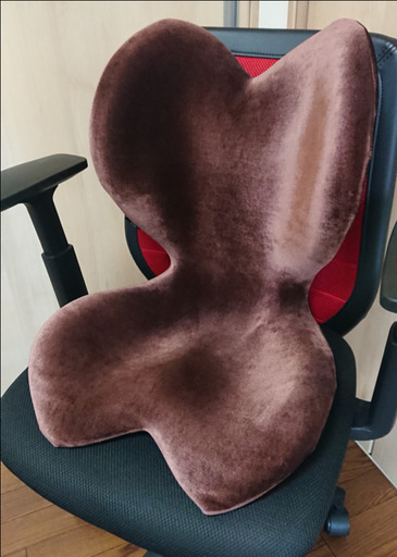 MTG Style ELEGANT（骨盤サポート）チェア