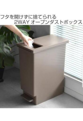 ゴミ箱　プッシュ＆ペダル ダストボックス スリム 45L\n\n
