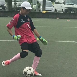 中学生/英数の家庭教師を探しています。男子学生歓迎