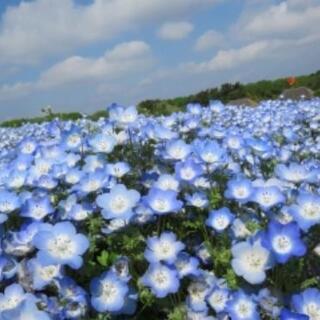LINEグル募集中♪