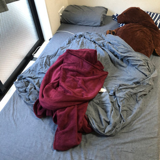IKEAのセミシングルベッドマット無料に差し上げます。