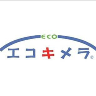 エコキメラ無光触媒