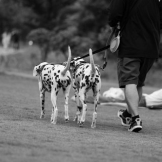 カメラサークル 次回は第50回 7/25（土）(撮影散歩・Photo Walkの集まり)浅草〜荒川周辺を散策して夜に手持ち花火撮影 - その他