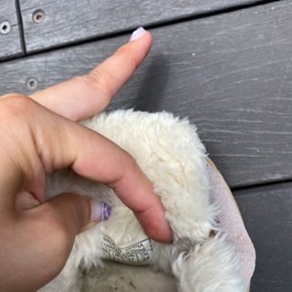 Ralph モカシンの画像