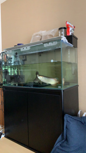 ADA 900ガラス水槽　水槽台　上部濾過セット