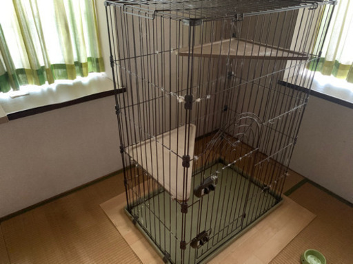 猫ゲージ