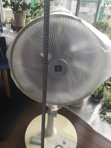 シャープ　プラズマクラスター　扇風機