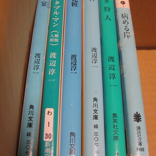 渡辺淳一　文庫本　6冊