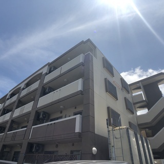 【人気物件空きでました!!２１世紀の森ビーチへすぐ!!名護市宮里１ＬＤＫ('◇')ゞ】 - 賃貸（マンション/一戸建て）