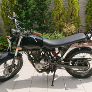 【9月末迄出品】FTR 223  カスタム