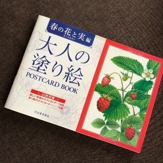 24色･色鉛筆と大人の塗り絵 セットでの画像