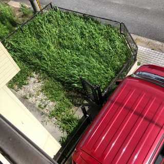 草むしりお願いします！