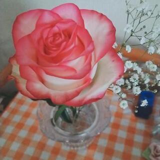 女性限定。アラフィフ🌺女友達募集😊✨
