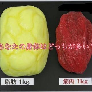 美ボディダイエットコーチング❗️自粛太りしちゃった方、長年ダイエットを繰り返し試みてるのに成果が出ない方、変わりたい！ - セミナー