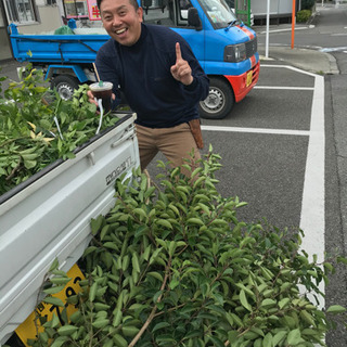 庭木の剪定伐採　承ります♪( ´▽｀) - 町田市