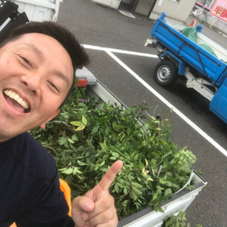 庭木の剪定伐採　承ります♪( ´▽｀)