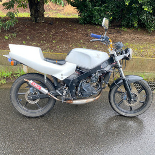 NS-1 実働の画像