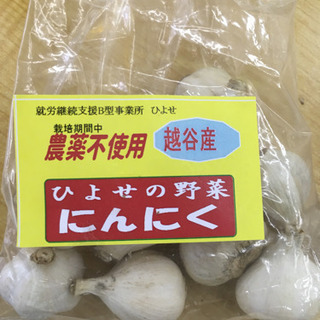【農薬不使用】国産にんにく　小玉　100円
