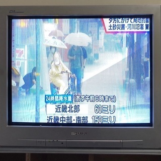 ブラウン管テレビ リモコン、地デジチューナーつき