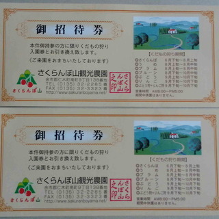 果物狩り2名分　時間無制限＆食べ放題　余市仁木さくらんぼ山観光農...