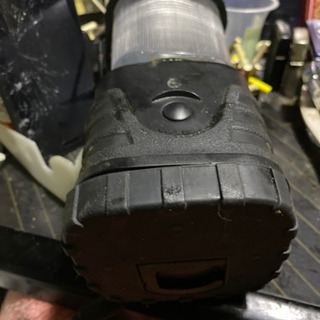 ランタンジャンクの画像