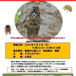 セミはかせになろう