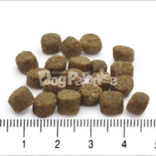 ドックフード キャットフード ワイソン グ アナジェン 犬、猫共用 2.27kgを2袋の画像