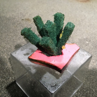 メダカ卵、媛紅白錦、かわいい