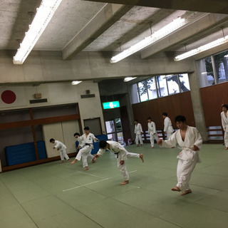 夏休みの今がはじめ時＼(^o^)／キッズ柔道の画像