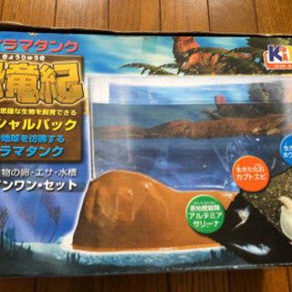 飼育セット