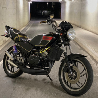 RZ250 シート