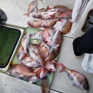 釣り - 友達