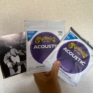 リトルマーチン】弦2袋＋マーチンロゴ入りギターケース付