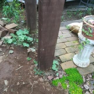 パーゴラ差し上げますの画像