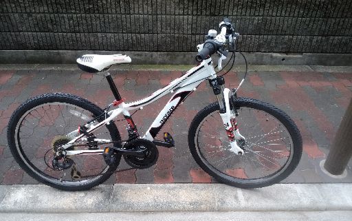 ?エンデバー24インチ